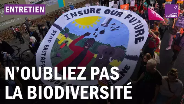 Pourquoi la biodiversité est la grande oubliée des politiques environnementales