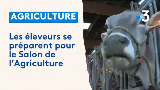 Un éleveur de Moloy se prépare au salon de l'agriculture