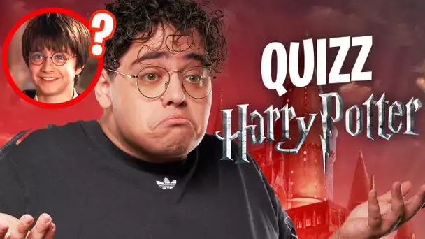 ON FAIT DES QUIZZS HARRY POTTER POUR DÉTERMINER MA MAISON & MA BAGUETTE