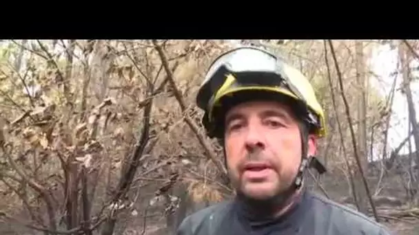 90 hectares de forêt en flamme à Lablachère en Ardèche