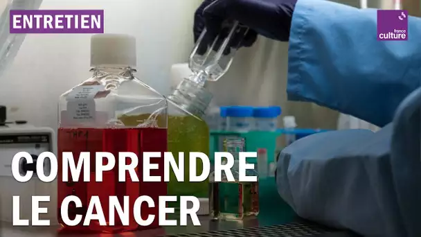 Nouvelles thérapies, vaccins, prévention : peut-on vaincre le cancer ?