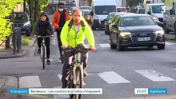 Bordeaux : les couloirs de bus-vélo pérennisés sur les boulevards
