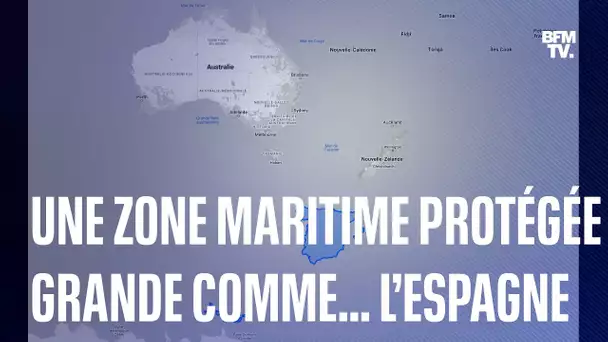 L’Australie va protéger une zone maritime grande comme... l’Espagne
