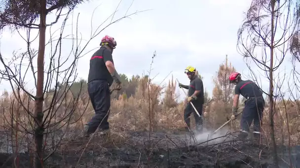 Risque sévère d'incendie en Charente-Maritime : des pompiers de l'ouest de la France en renfort