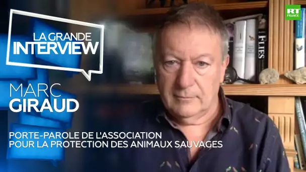 La Grande Interview : Marc Giraud