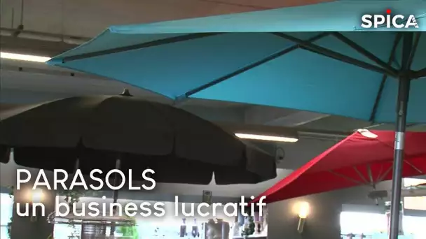 Sous le parasol : révélation sur un business lucratif