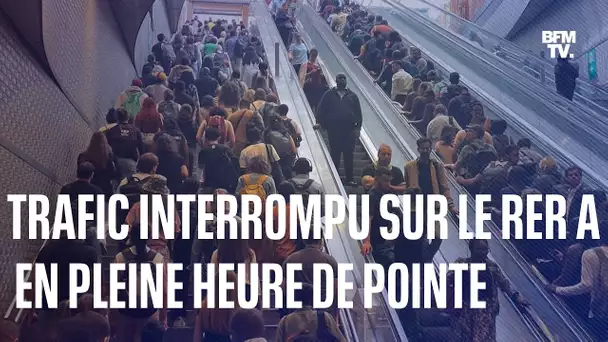 À Paris, l'interruption du trafic sur le RER A provoque des marées humaines
