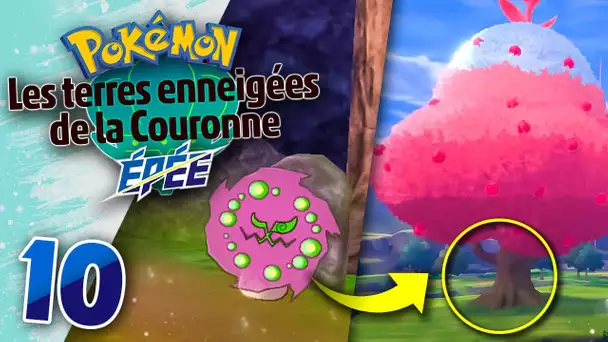 POKEMON ÉPEE - DLC 2 : Les Secrets de l'Arbre Géant & de la Tombe ! #10 ⚔️ - Let's Play