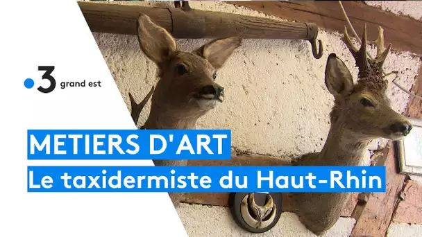 Paul Barthly, le dernier taxidermiste du Haut-Rhin