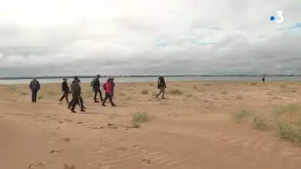 Saint-Brevin-l'Océan : découverte des écosystèmes des dunes