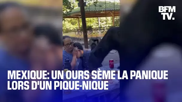 Un ours sème la panique pendant un pique-nique dans un parc au Mexique