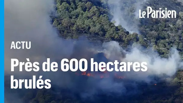 Espagne : l'incendie à la frontière avec la France s’étend , plus de 130 personnes évacuées