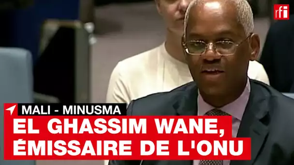 Le Mauritanien El-Ghassim Wane, nouvel émissaire de l’ONU pour le Mali