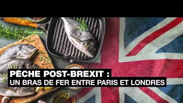 Pêche post-Brexit : un bras de fer entre Paris et Londres • FRANCE 24