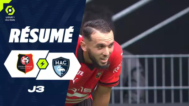 STADE RENNAIS FC - HAVRE AC (2 - 2) - Résumé - (SRFC - HAC) / 2023-2024