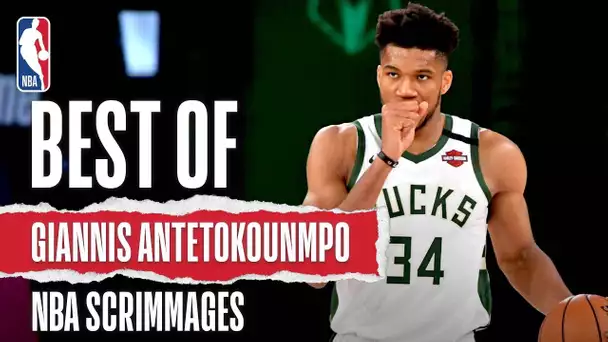 Best Of Giannis Antetokounmpo | NBA Scrimmages