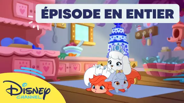 Le Petit Royaume des Palace Pets - Pyjamanniversaire I Disney