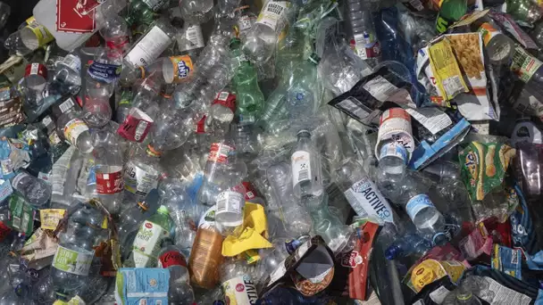 Plastique : combien ça rapporte, combien ça coûte? • RFI