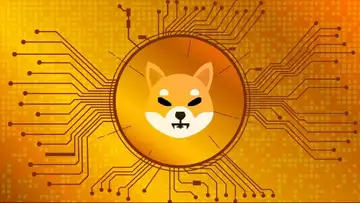 Shiba Inu : ce pays aime la cryptomonnaie canine