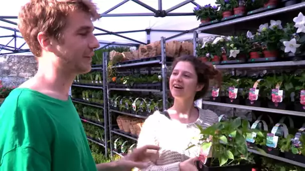 Du vert en ville, le boom des jardineries urbaines