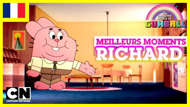 Le Monde Incroyable de Gumball 🇫🇷 | Les meilleurs moments de Richard #2