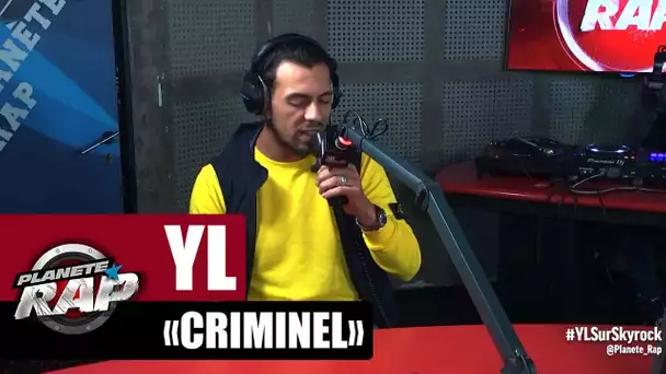 [Exclu] YL "Criminel" #PlanèteRap