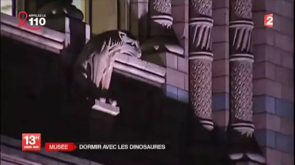 Une nuit avec les dinosaures