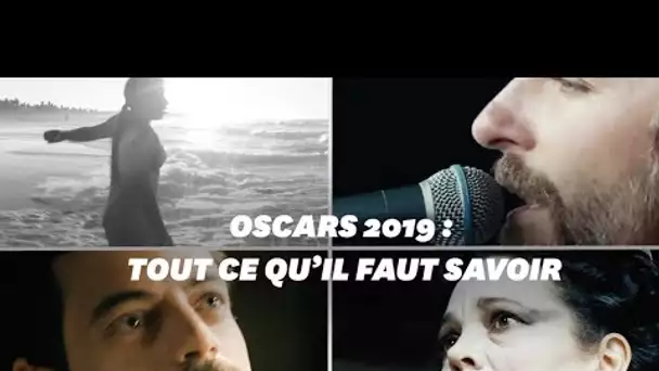 Oscars 2019:  tout ce que vous devez savoir pour la cérémonie