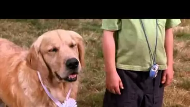 Air Bud - bande annonce