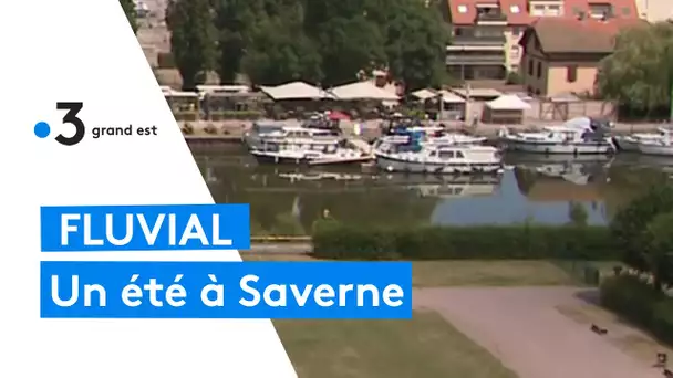 Un été à Saverne, sur le canal de la Marne au Rhin