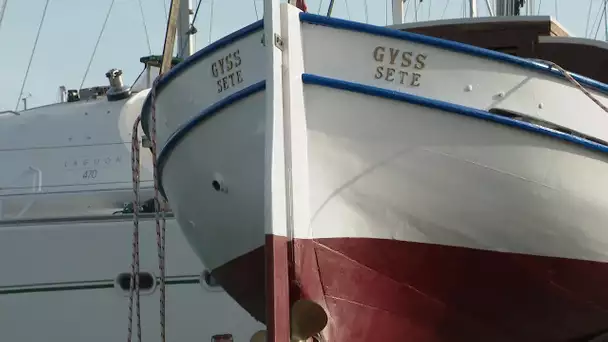 Sète : Les bateaux de Georges Brassens sont dans Bleue Occitanie