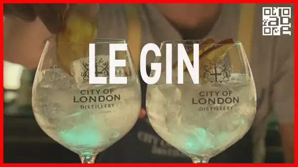 Le gin retrouve du tonique. ABE-RTS