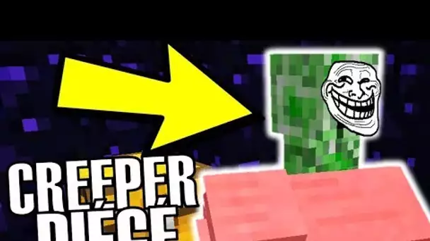 UN ABONNE DE 12 ANS A CRÉÉ 5 TROLLS ULTRA SECRETS ! MINECRAFT