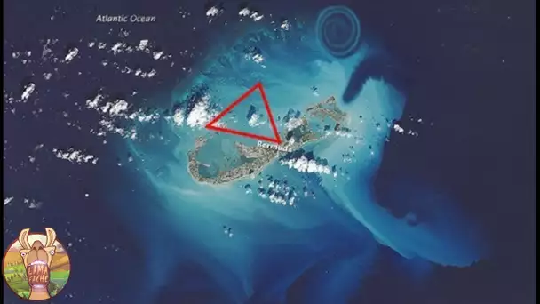 QUI VIT SOUS LE TRIANGLE DES BERMUDES ? Lama Faché