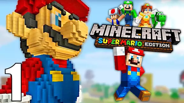 SUPER MARIO MINECRAFT NINTENDO WII U FR | L&#039;EXPLORATION COMMENCE !