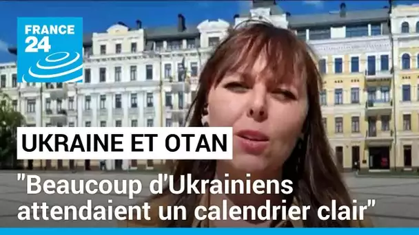 "L'avenir de l'Ukraine est dans l'Otan", mais pas pour l'instant • FRANCE 24