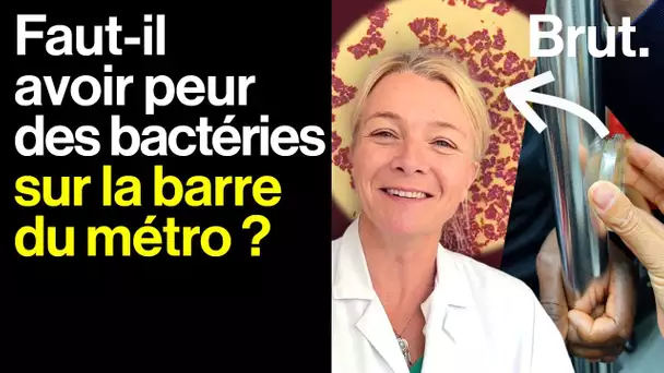 🔬 Poignée de porte, chasse d'eau : on a passé les bactéries du quotidien au microscope