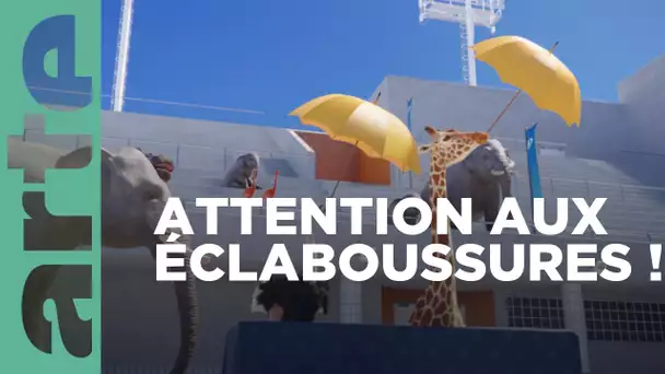 Plongeon synchronisé (3/30) | Athleticus 🐘🦘🐢🦛🦩 | ARTE Family