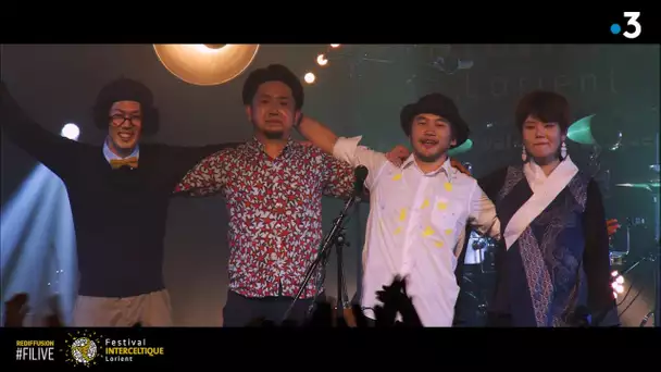 REDIFFUSION FILIVE 2019 - HARMONICA CREAMS - FESTIVAL INTERCELTIQUE DE LORIENT