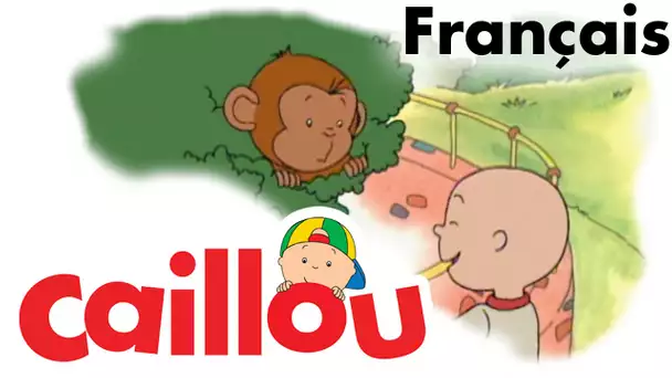 Caillou FRANÇAIS - Caillou au zoo  (S01E23) | conte pour enfant | Caillou en Français
