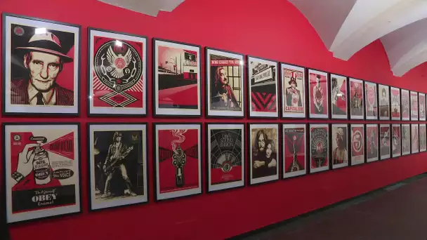 Annecy-le-Vieux : Shepard Fairey, le géant du street art exposé à l'Abbaye