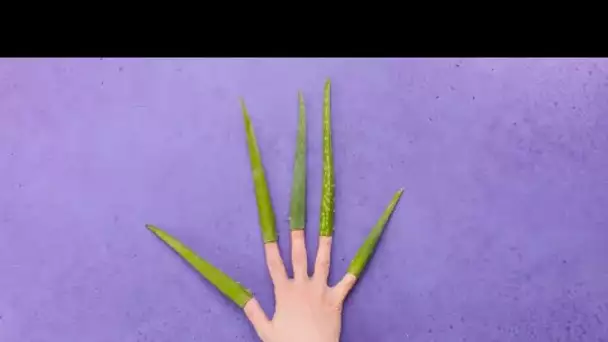 Astuces utiles avec de l'aloe vera pour une routine de soin au top