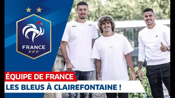 Les Bleus à Clairefontaine, Equipe de France I FFF 2019