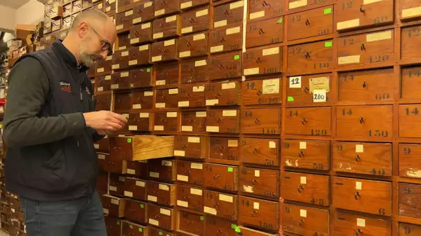 Institution à Agen, la quincaillerie Fabre a plus d'un siècle d'existence, sans céder aux modes.