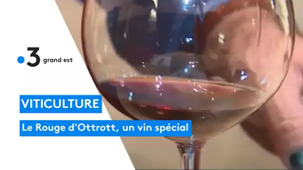 Le Rouge d'Ottrott, une tradition séculaire en Alsace