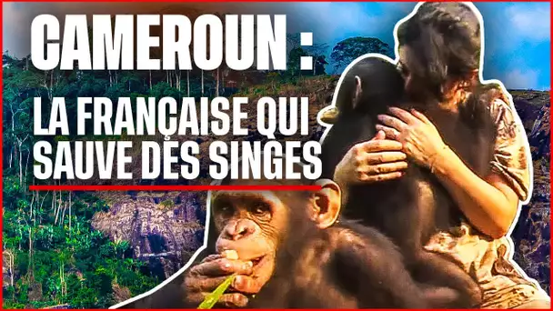 Cameroun : la Française qui sauve des singes