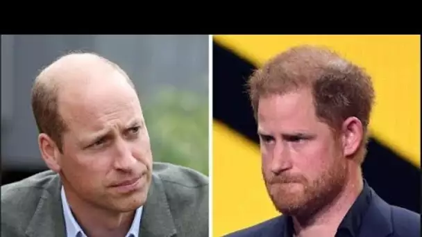 Le prince William « se permet d'être plus ouvert » alors qu'il lance un défi américain à Harry