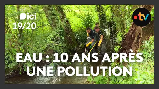 Après la pollution, la reconstruction