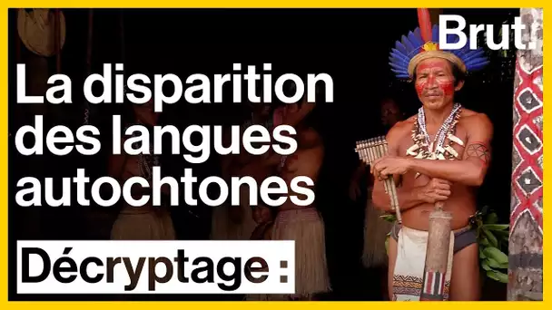 La disparition des langues autochtones