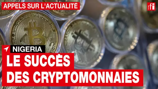 Cryptomonnaies : illégales, elles ont pourtant un succès fou au Nigeria !